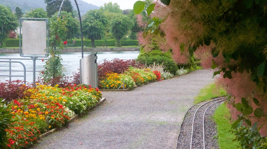 Schadaupark das einen Blumen und Park