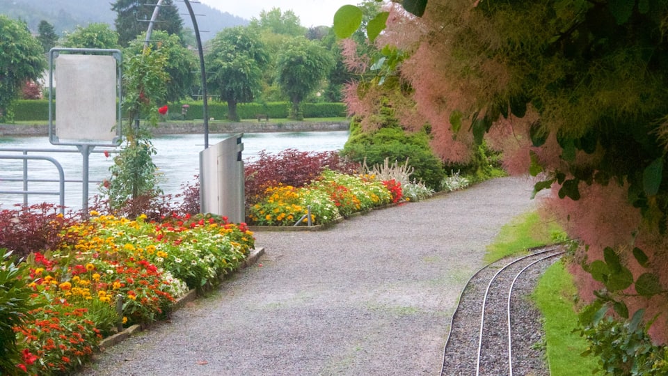 Schadaupark featuring a garden and flowers