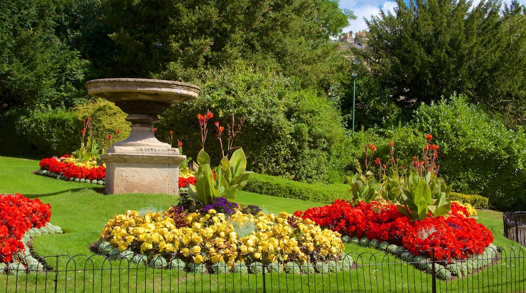 Royal Victoria Park which includes flowers and a garden