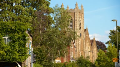 Guildford showing heritage architecture