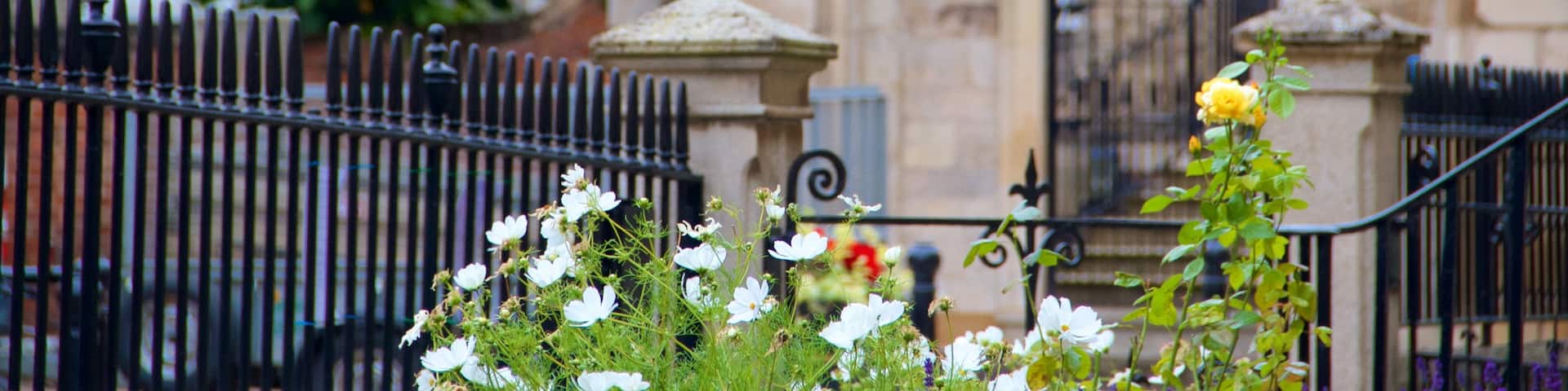 Wisbech