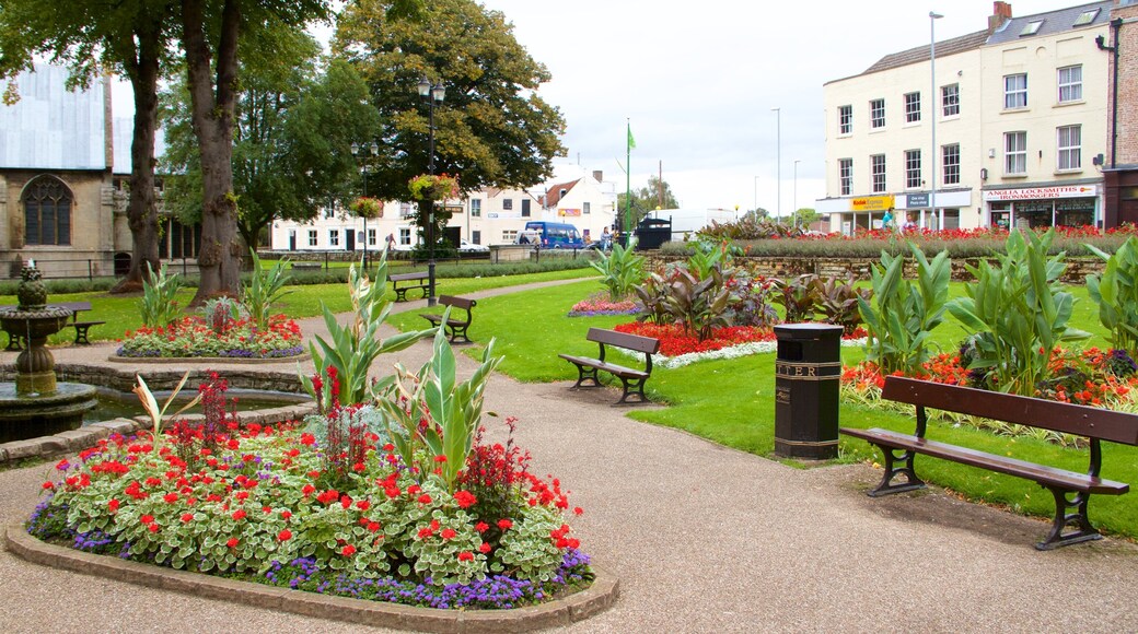 Wisbech bevat een park en bloemen