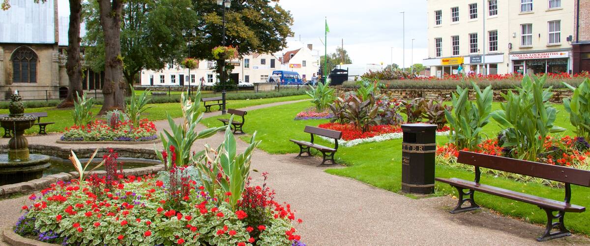 Wisbech featuring a park and flowers
