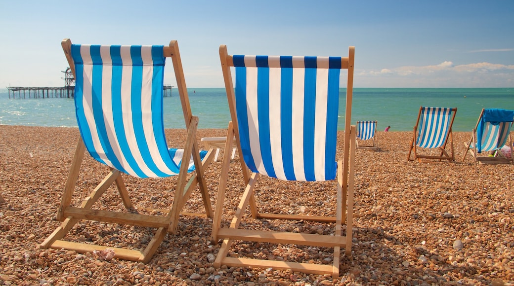 Brighton Beach which includes a pebble beach and general coastal views