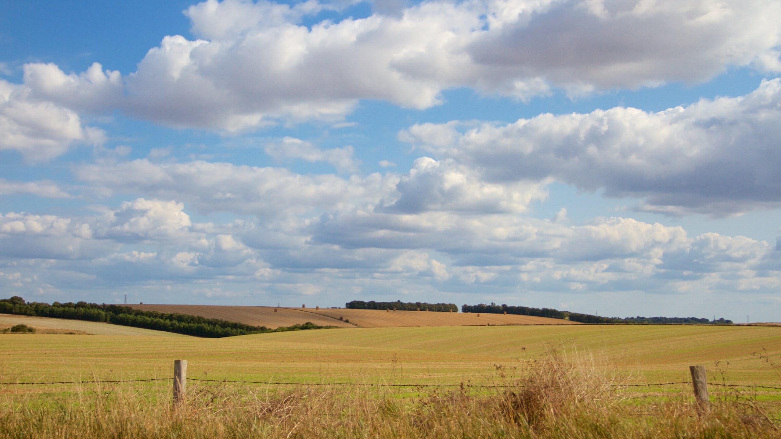 Wiltshire que incluye escenas tranquilas y tierras de cultivo