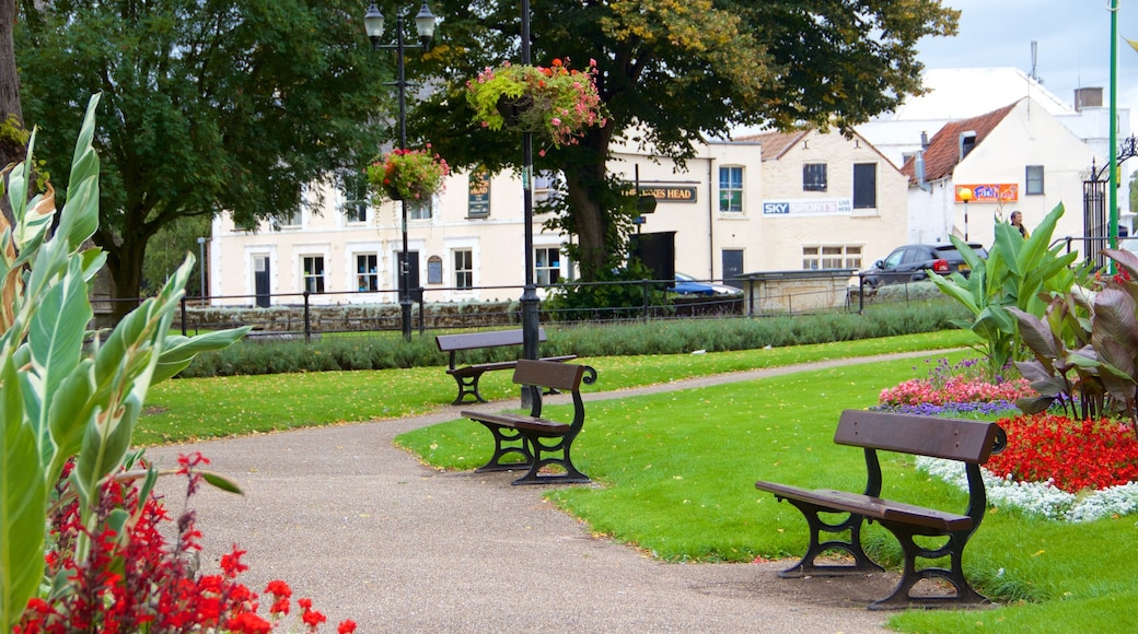 Wisbech showing a park