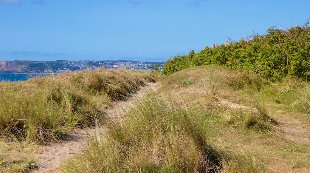 Marazion caratteristiche di paesaggi rilassanti