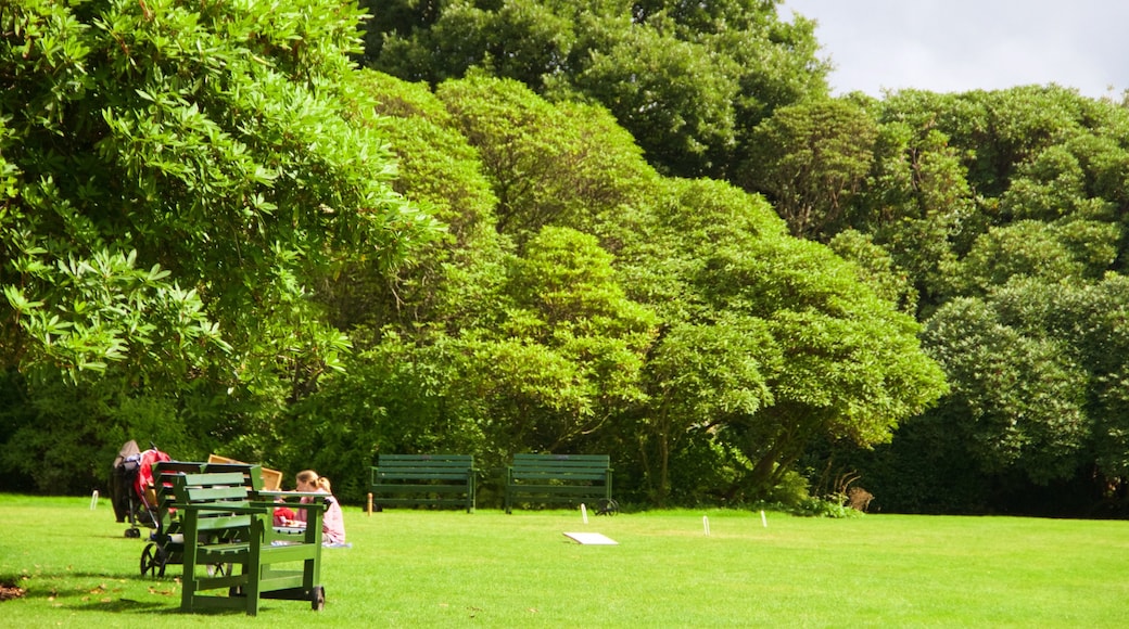 Lost Gardens of Heligan showing a park