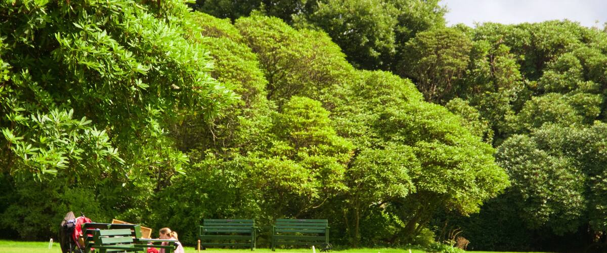 Lost Gardens of Heligan which includes a park
