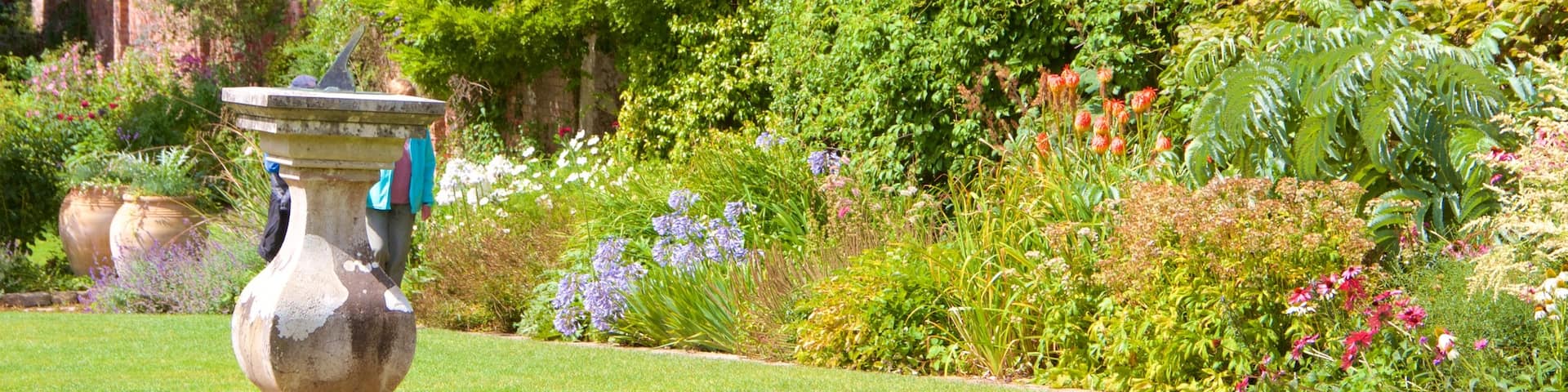 Lost Gardens of Heligan qui includes jardin