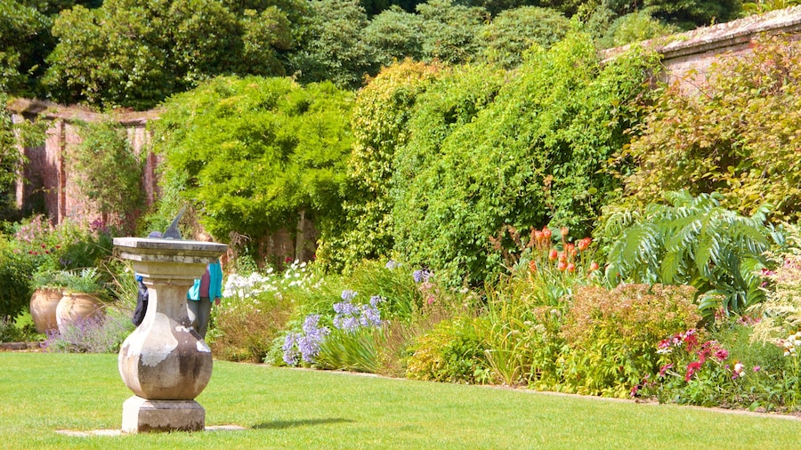 Lost Gardens of Heligan ofreciendo un jardín