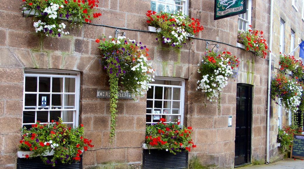 St Austell showing flowers