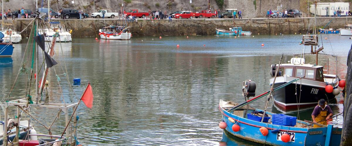 Mevagissey which includes boating and a bay or harbor