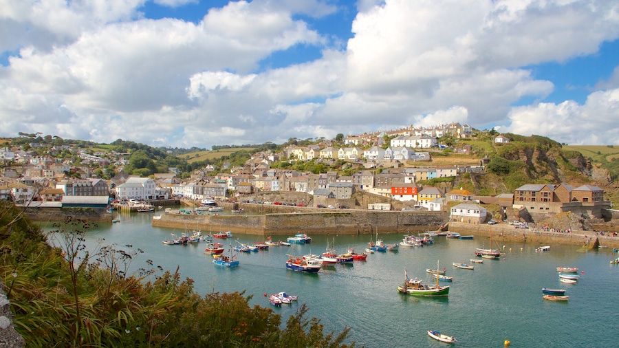 Mevagissey og byder på bådsejlads, en bugt eller havn og udsigt over kystområde