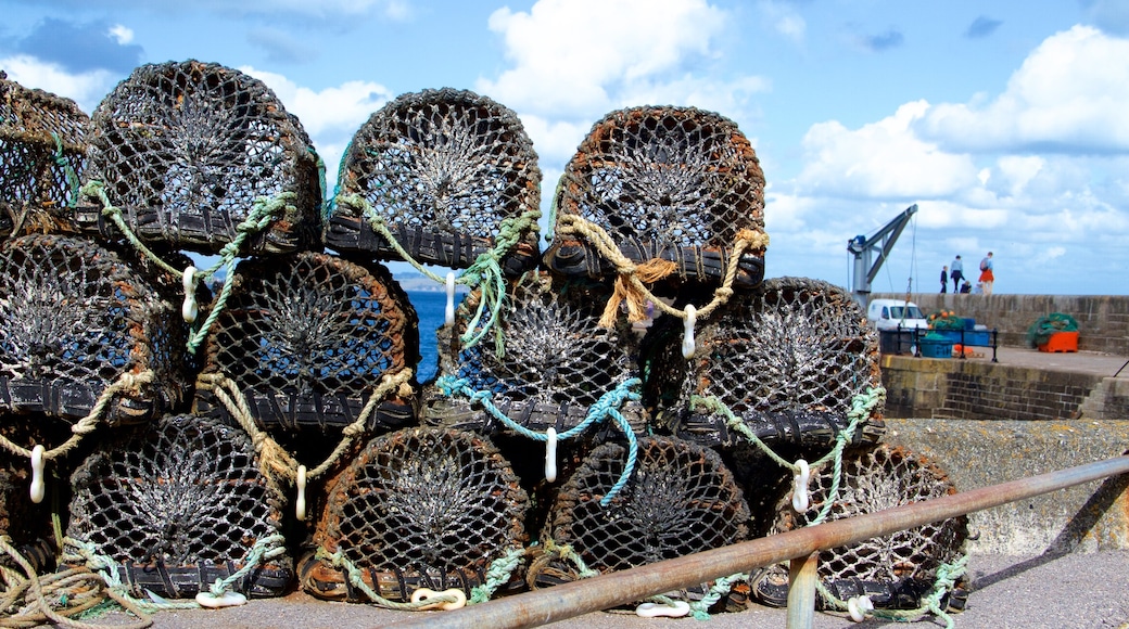 Mevagissey which includes fishing and boating