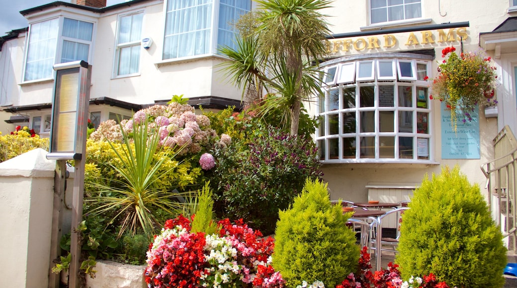 Teignmouth toont een huis en bloemen