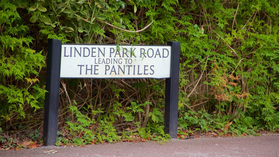 Royal Tunbridge Wells which includes signage