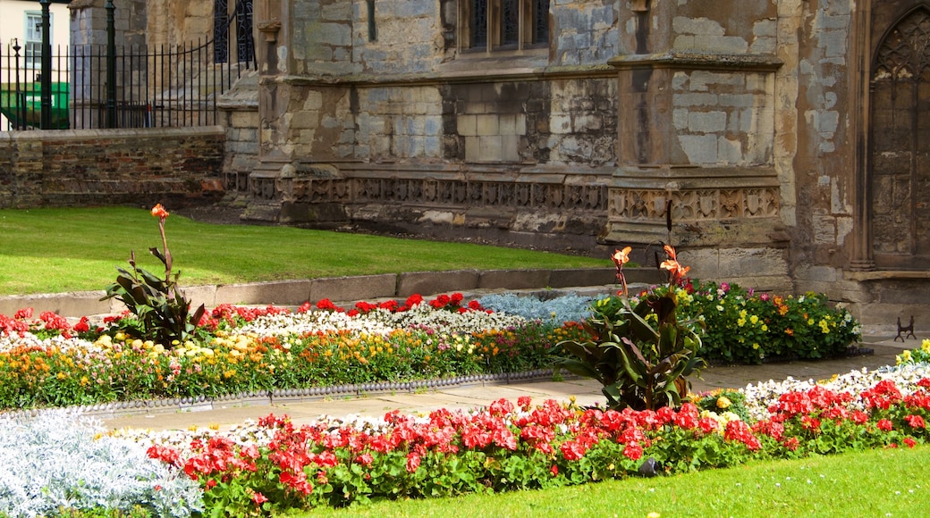 King\'s Lynn featuring flowers and a park