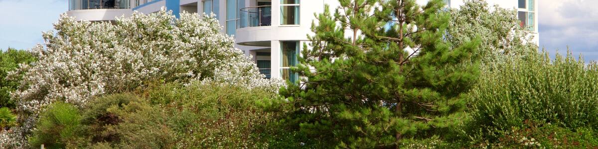 Minehead welches beinhaltet moderne Architektur