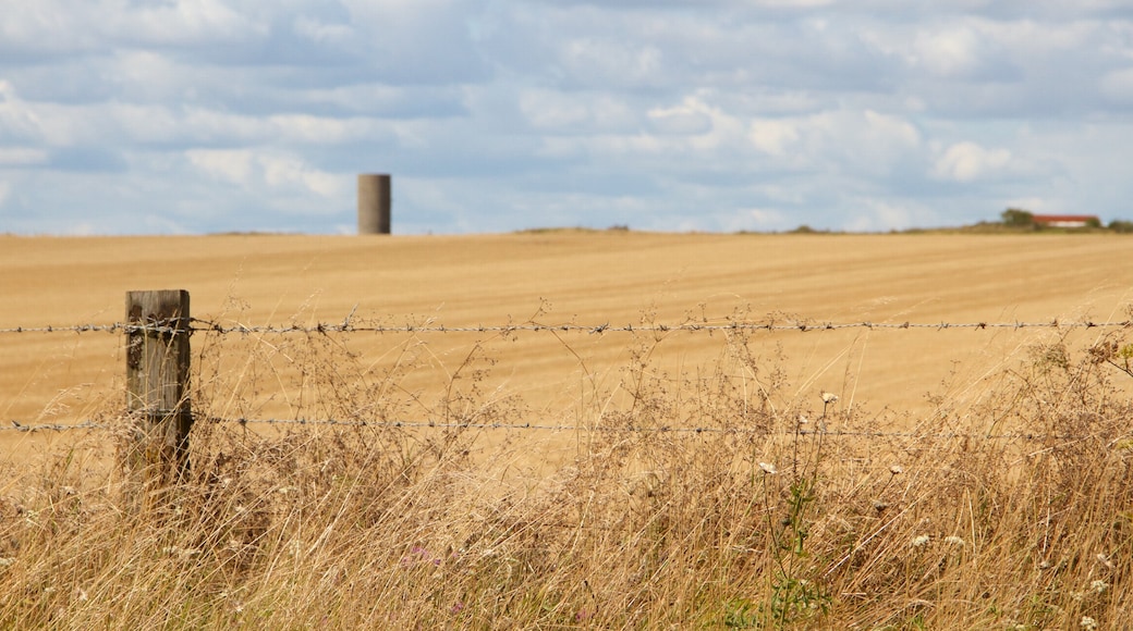 Stonehenge featuring farmland and tranquil scenes