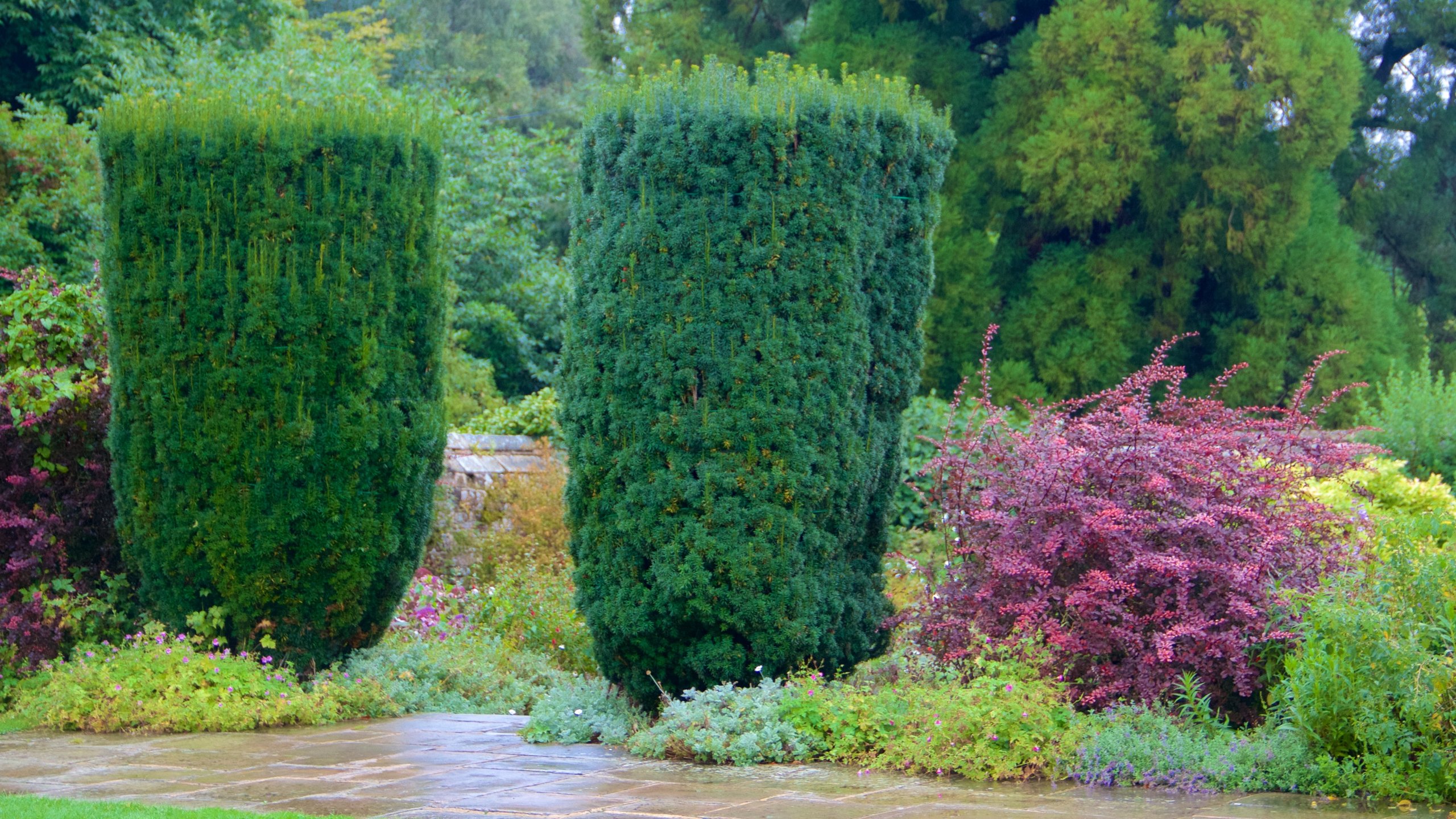 Chartwell showing wildflowers and a garden