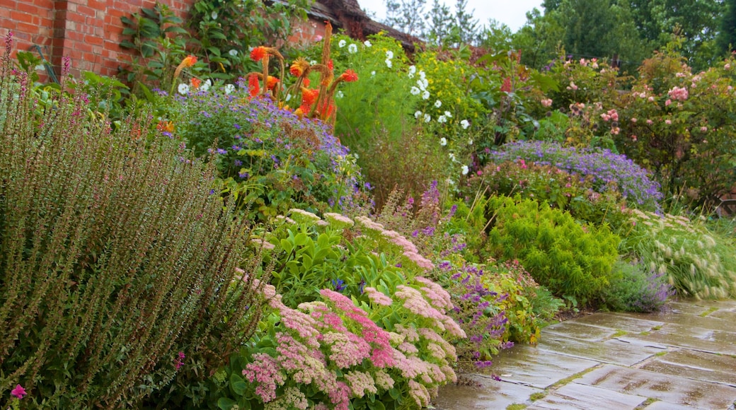 Chartwell que inclui flores e um parque