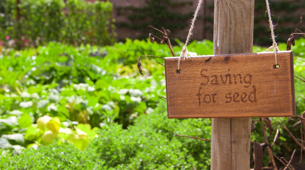 Lost Gardens of Heligan featuring a park and signage