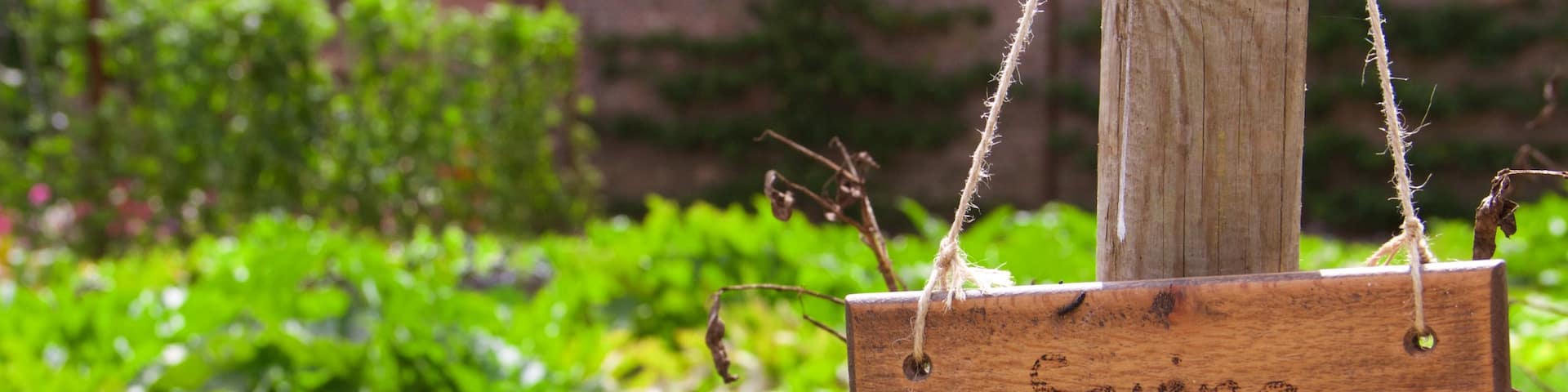Lost Gardens of Heligan showing signage and a park