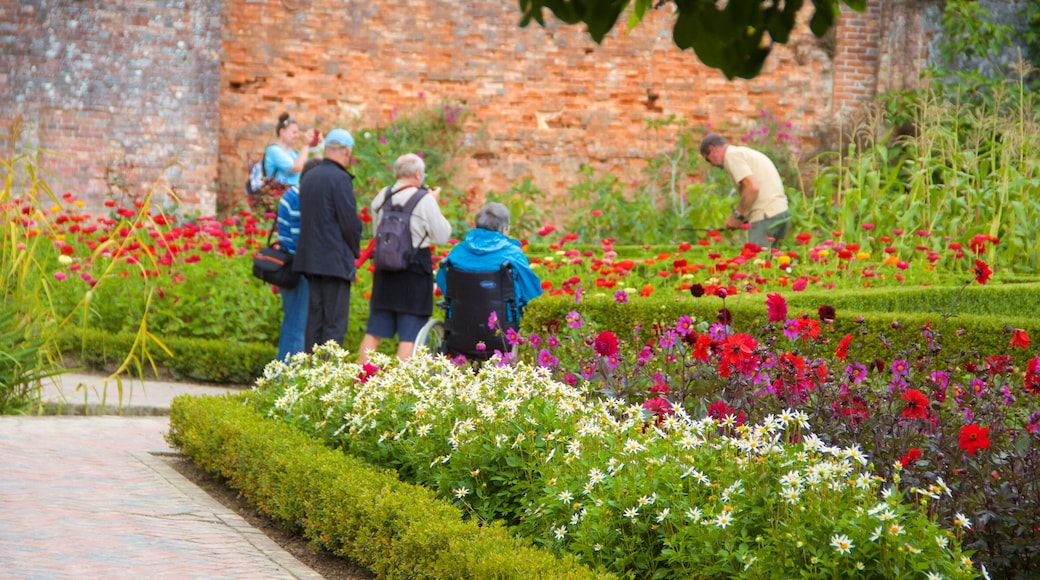 Lost Gardens of Heligan som viser park og blomster i tillegg til en liten gruppe med mennesker