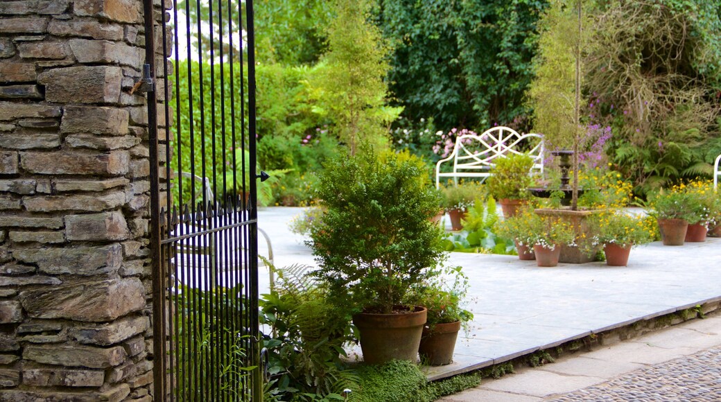 Lost Gardens of Heligan featuring a park