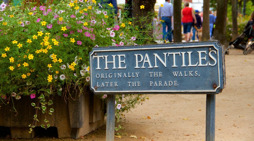 Pantiles 其中包括 指示牌