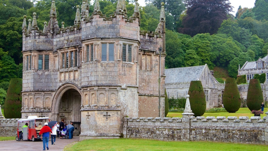 Lanhydrock che include parco, oggetti d\'epoca e castello o palazzo