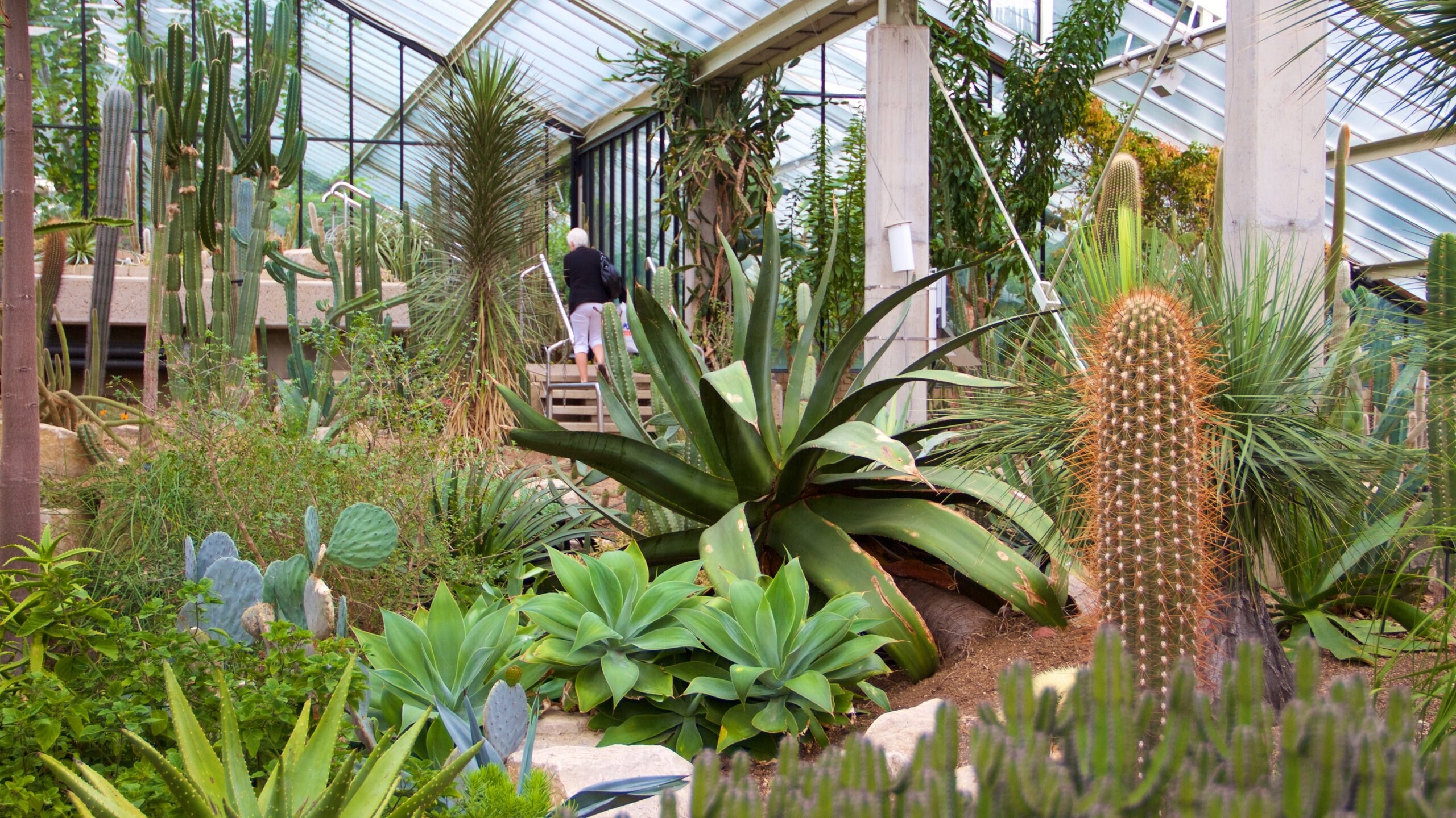 Voucher Kew Gardens Fasci Garden