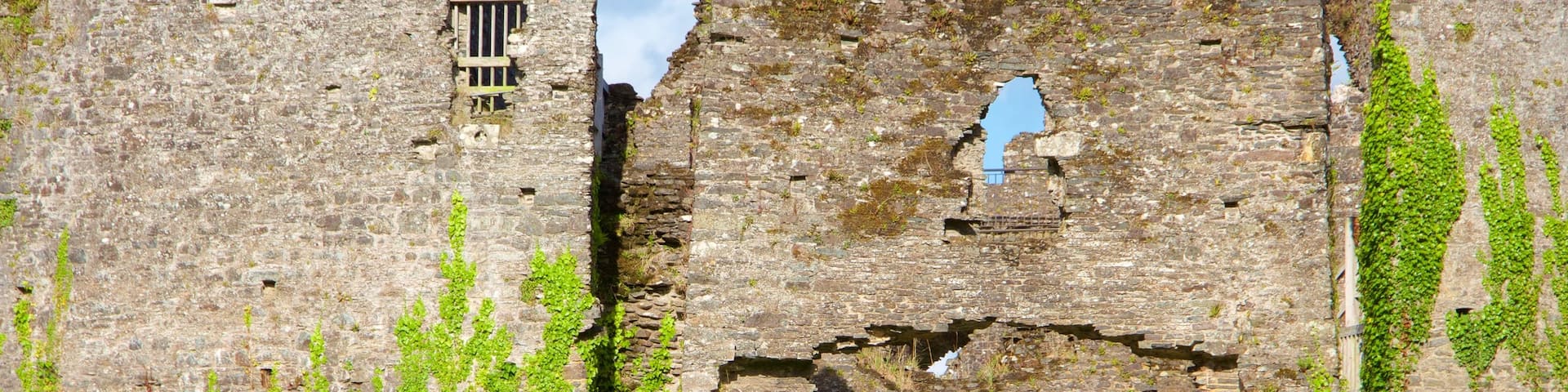 Cornwall showing chateau or palace and building ruins