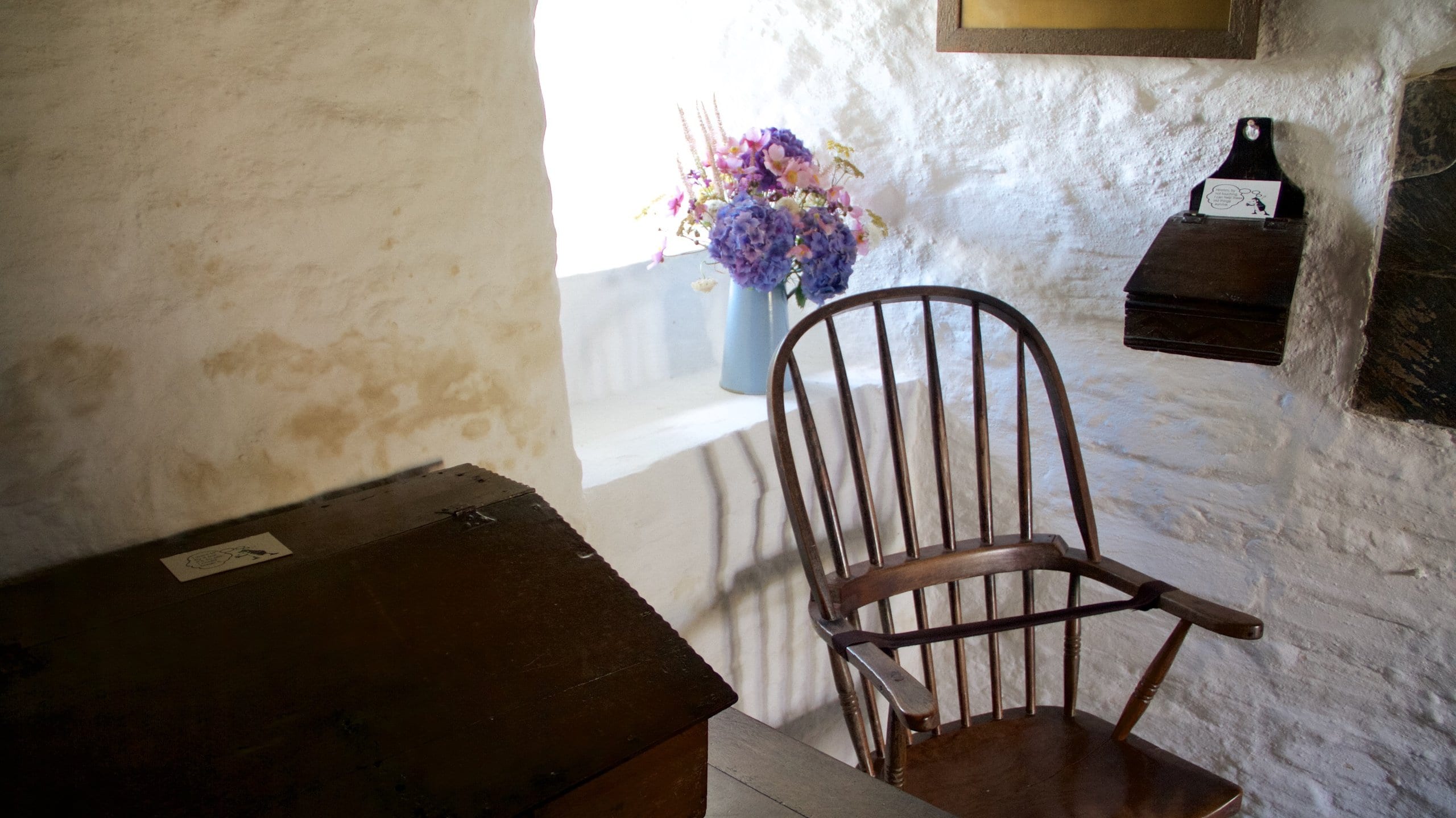 Cornwall showing flowers and heritage elements