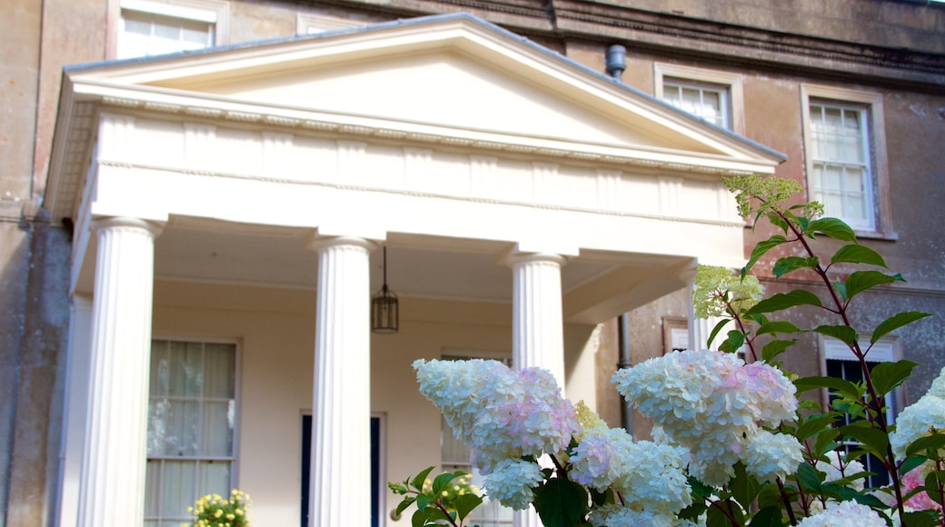 Truro showing heritage elements and flowers