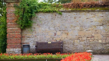 Lincolnshire showing flowers and heritage elements