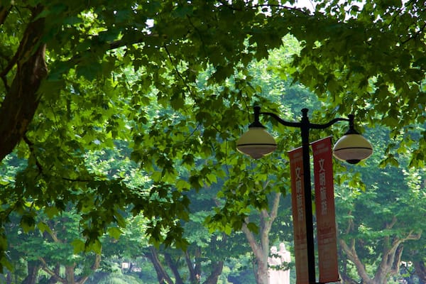 Parc Fuxing qui includes jardin