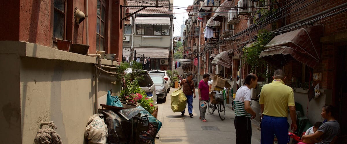 泰康路 以及 一小群人