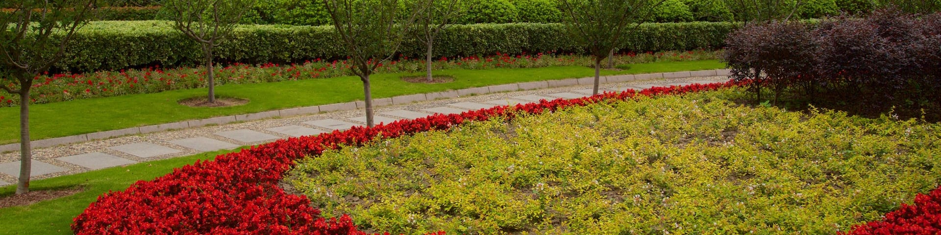 People\'s Square showing a garden and flowers