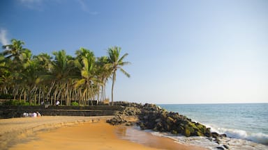 Thiruvananthapuram District showing a sandy beach