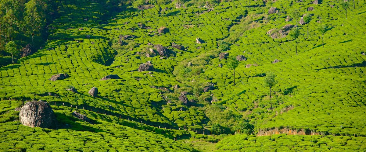 Quận Idukki có tính năng cảnh thanh bình