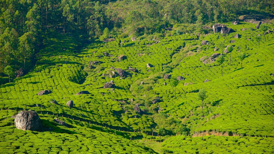 Quận Idukki có tính năng cảnh thanh bình