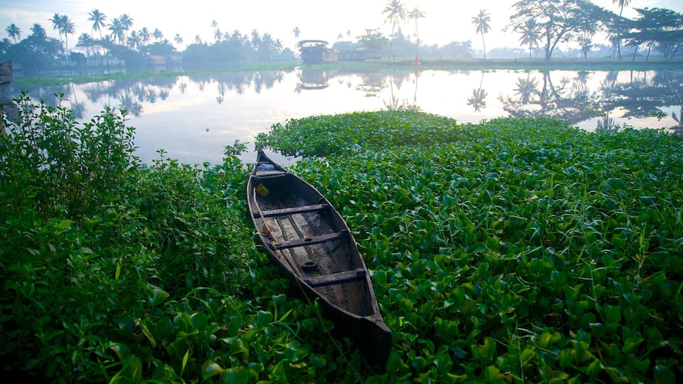 Alappuzha District which includes a river or creek