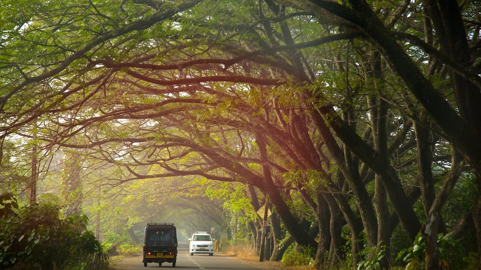 Alappuzha District which includes tranquil scenes