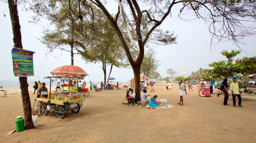 Malappuram District featuring general coastal views