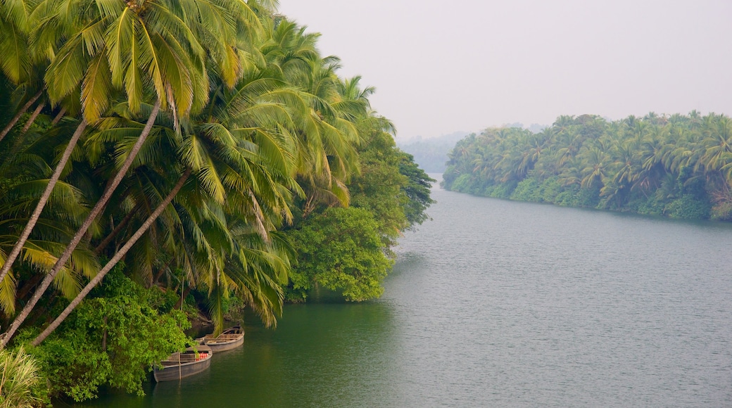 Distrito de Malappuram mostrando un río o arroyo