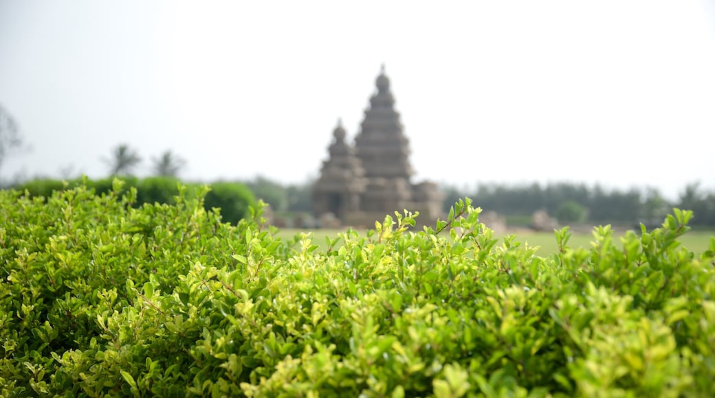 Shore Temple