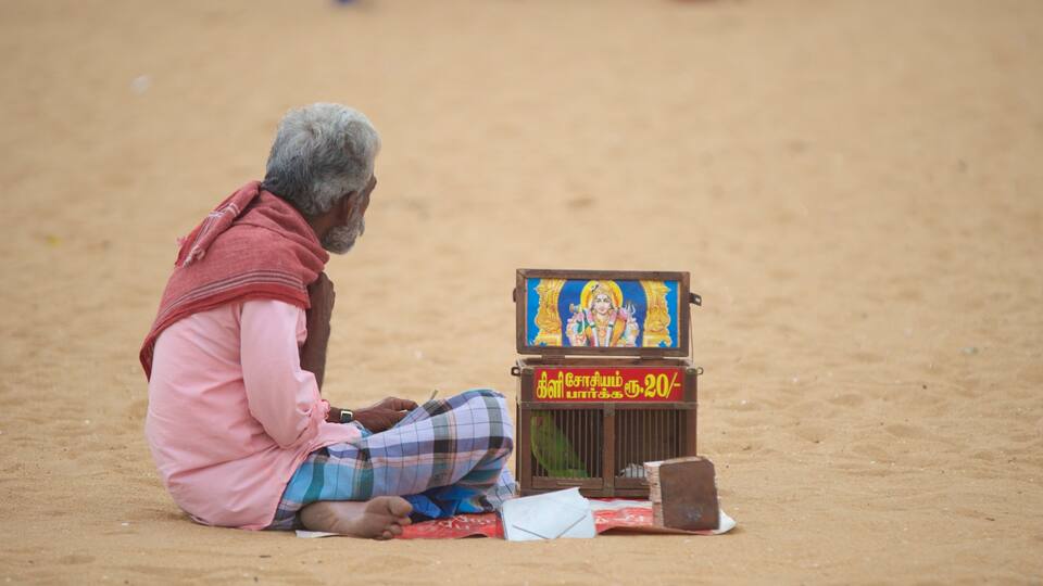 Praia da Marina que inclui uma praia de areia assim como um homem sozinho