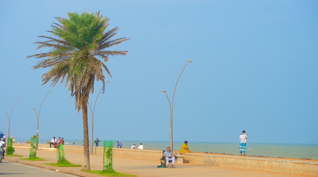 Pondicherry que incluye vistas de una costa